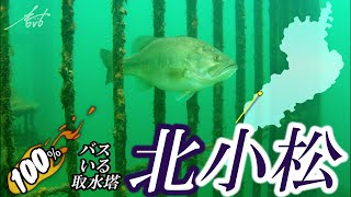 琵琶湖　北小松水中映像★100％バスいる取水塔＆水中隠れ取水塔跡★北湖西岸　湖西のバス釣り