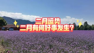 二月运势，二月有何好事发生？（2025年2月）