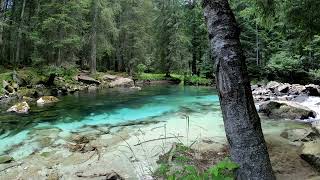 Majestic Symphony of Nature: Flowing Grand Water Sounds in the Forest