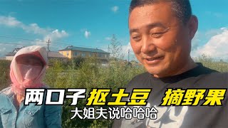 农民王小：看完你一定羡慕农村！两口子菜园游，想吃啥一分钱不花