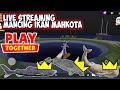 play together mancing ikan besar langka mahkota terbaru