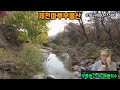 물건번호 235 제천부동산 제천시내15분 청정 지역 음이온배출 많이된다구요 노목계곡 건강한 계곡