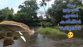 വല വിരിച്ചു ഒരു കരിമീൻ പിടുത്തം (Kerala cast net karimean fishing) #karimeanfishing