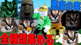 全種類の悪魔の実すべて集めるまで終われないミームシー【Meme Sea】【ロブロックス/ROBLOX】