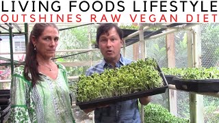 The Living Foods Healing Lifestyle: Why It Outshines Raw Vegan Diet