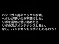 【電ハン】ニッケル水素vsリポバッテリー 検証比較byサバゲる