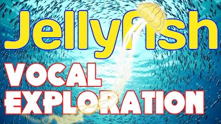 Jellyfish Vocal Exploration