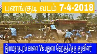 சீறிப்பாய்ந்த காளை பனங்குடி வடமஞ்சுவிரட்டு 7-4-2018