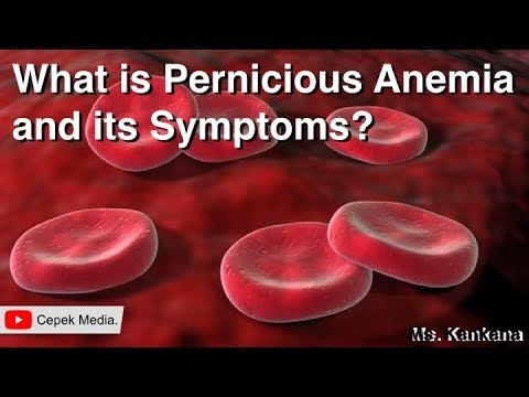 What Is Pernicious Anemia And Its Symptoms | Biotechnology | General ...