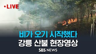 민가 집어삼키던 중에 비가 내리기 시작했다…SBS 취재진이 촬영한 이 시각 강릉 산불 현장영상 / SBS