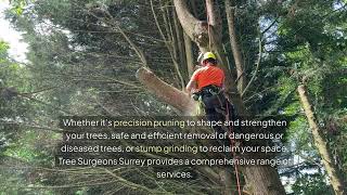 Tree Surgeons Surrey