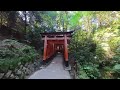 japan contiki unrivalled kyoto fushimi inari taisha walkthrough