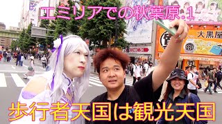 第224番-1【女装　コスプレ　リゼロ】エミリアでの秋葉原.1・まずは歩行者天国 【男の娘　アキバ】