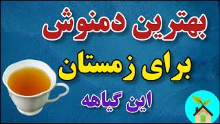 بهترین دمنوش برای خلاصی از مشکلات زمستانی | با این دمنوش مشکلات زمستان از بین میره | #دمنوش