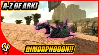 A-Z Of Ark! The DIMORPHODON And Why Its The Best Shoulder Pet!! || Ark Survival Evolved!