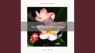 Reach Relax with Unique Nature Tunes for Relax