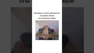 annesi arkadaşını senin yanında dövmeye başlamıştır