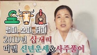 2019년 삼재띠 (뱀띠, 소띠, 닭띠) 띠별 신년운세, 사주풀이!