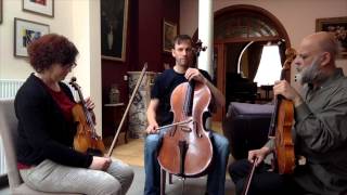 Goeyvaerts Trio about 'just Intonation' in Arvo Pärt's Stabat Mater