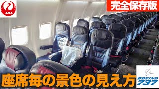 JAL B737 座席毎の景色の見え方・特徴　【完全保存版】JGC修行・座席選びの参考に！737乗るのなら絶対ココ！