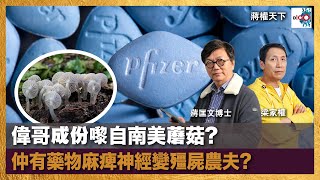 偉哥成份嚟自南美蘑菇? 仲有藥物麻痺神經變殭屍農夫?｜蔣權天下｜蔣匡文、梁家權