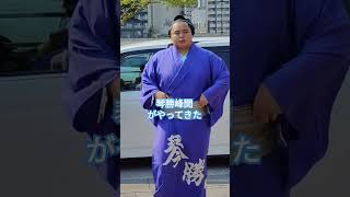 琴勝峰関がやってきた　#九月場所 #相撲 #sumo #両国国技館 #sumida #tokyo #墨田区