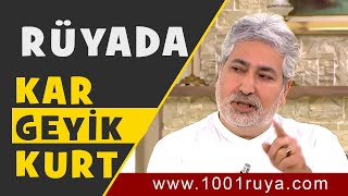 RÜYADA KAR GÖRMEK | KURT GÖRMEK, GEYİK GÖRMEK