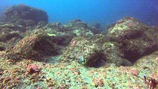 日本　八丈島　ナズマド　ユウゼン