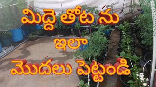 terrace garden strat   మిద్దె తోట ఎలా మొదలు పెట్టాలి