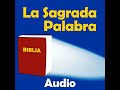 ¿Cuál es la Diferencia entre el Alma y el Espíritu? (Parte 1)