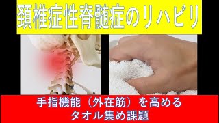 頚椎症性脊髄症のリハビリ-手指機能（外在筋）を高めるタオル集め課題-