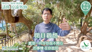 《華山秘笈》～「淨化自己 」系列 ｛MCT正念教練學主題系列 #50｝第四集：請你「拉遠外物」