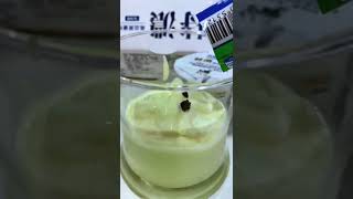 酸奶配奧利奧的確不錯😌，冷凍後就變成酸奶冰淇淋啦～#yogurt #oreo