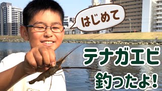 はじめてテナガエビ釣ったよ！