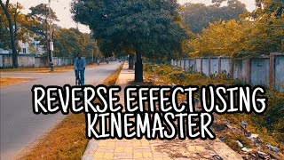Reverse video effect using kinemaster Tutorial