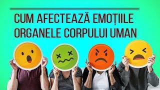 ÎN CE MOD AFECTEAZĂ EMOȚIILE ORGANELE CORPULUI UMAN - sfaturi sănătate