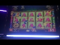 China shores line hit big win $20 bet high limit slots