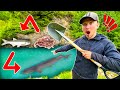 Food Chain Fishing Challenge - WORM to BIGGEST FISH