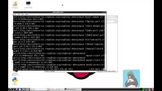 Raspberry PI LPI Linux Essentials Installing and Using MySQL