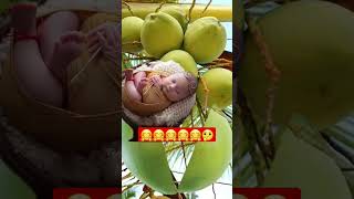 baby in coconut 🥥 #shorts #short #viral #youtube #cute#cutebaby #youtubeshorts #funny #funnyvideo