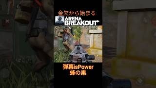 金欠から始まるArenaBreakout ノースリッジバトルロイヤル行ってみた #ArenaBreakout #GoldenLionsLegion #アリーナブレイクアウト