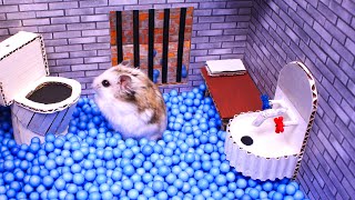 🐹Hamster escapes the awesome maze for Pets in real life 🐹 in Hamster stories Par