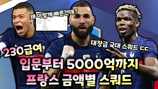 [피파온라인4] 230급여 프랑스 금액별 스쿼드 (입문~5000억)