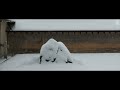 ryoan ji snowy rock garden　龍安寺　京都の庭園 the garden of kyoto japan