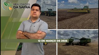 Região de Itambé/PR espera chuvas para o milho e setor de hortifrutis consolida crescimento ano...