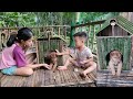 Young mother harvests plums to sell - Children build a wonderful dog cage. What a surprise