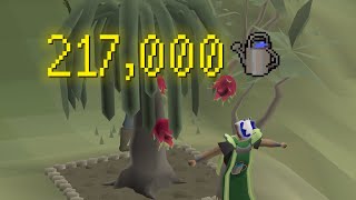BEST Farming XP: Tree Run Guide