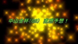 中山金杯（G3） 直感予想！