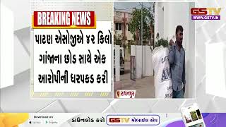 PATAN: રાધનપુરના દેલાણા ગામેથી 42 કિલો લીલા ગાંજાના છોડ ઝડપાયા