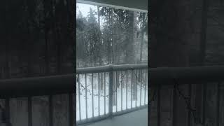 Snow and wind in Sheboygan